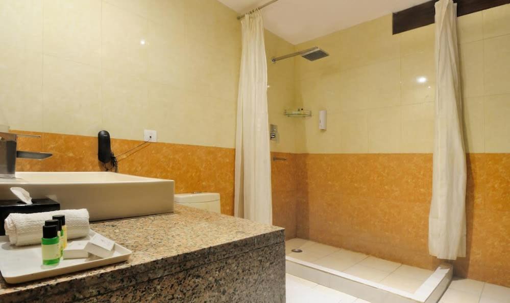 Zenith Hotel - Delhi Airport نيودلهي المظهر الخارجي الصورة